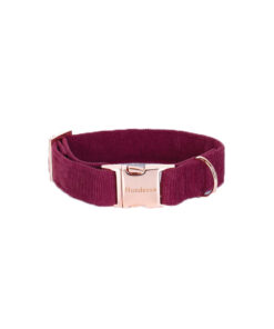 elbhunde dresden hundessa hundehalsband rubin