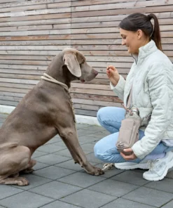 elbhunde palopa flaschen und leckerlitasche boudi taupe hund