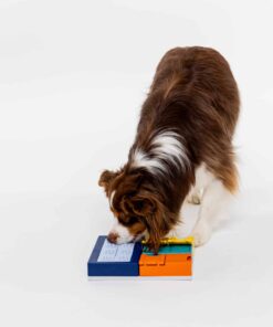 elbhunde dresden pawzler smarty set aktion