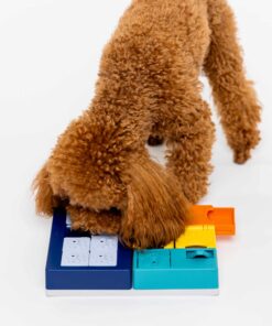 elbhunde dresden pawzler smarty set hund