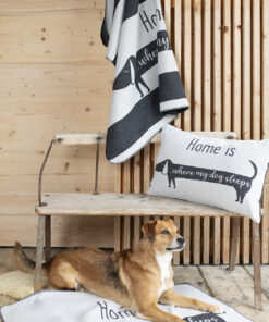 elbhunde dresden david fussenegger dackel home is hund