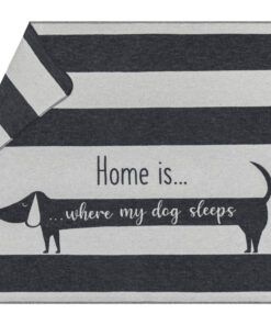 elbhunde dresden david fussenegger dackel home is kelin groß