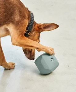 elbhunde dresden miacara dado himmel eucalyptus hund