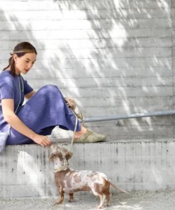 elbhunde dresden palopa leckerlibeutel karl purple hund