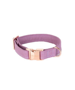 elbhunde dresden hundessa halsband orchidee