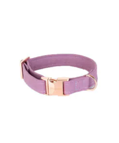 elbhunde dresden hundessa halsband orchidee