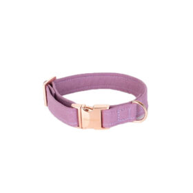 elbhunde dresden hundessa halsband orchidee