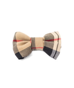 elbhunde dresden hundessa hundefliege karo