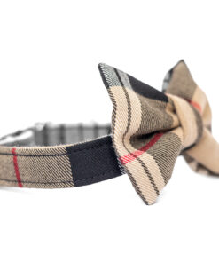 elbhunde dresden hundessa hundefliege karo detail