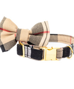 elbhunde dresden hundessa hundefliege karo halsband