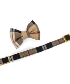 elbhunde dresden hundessa hundefliege karo liegend