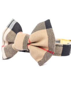 elbhunde dresden hundessa hundefliege karo seitlich