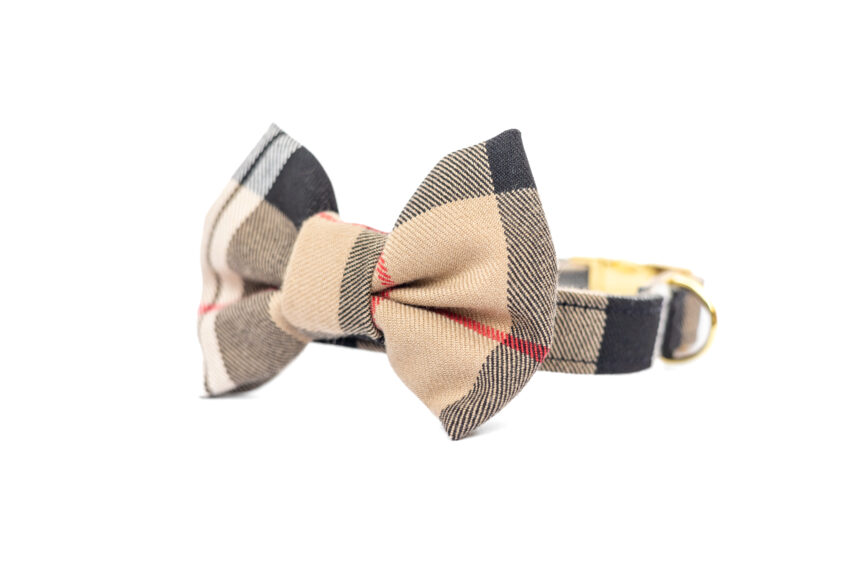 elbhunde dresden hundessa hundefliege karo seitlich