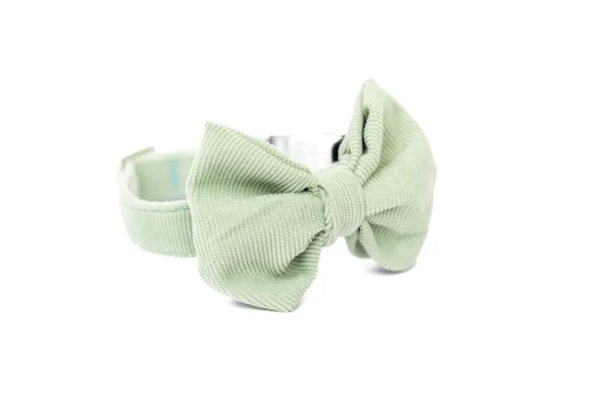 elbhunde dresden hundessa hundefliege lindgrün detail