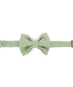 elbhunde dresden hundessa hundefliege lindgrün liegend