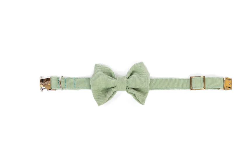 elbhunde dresden hundessa hundefliege lindgrün liegend