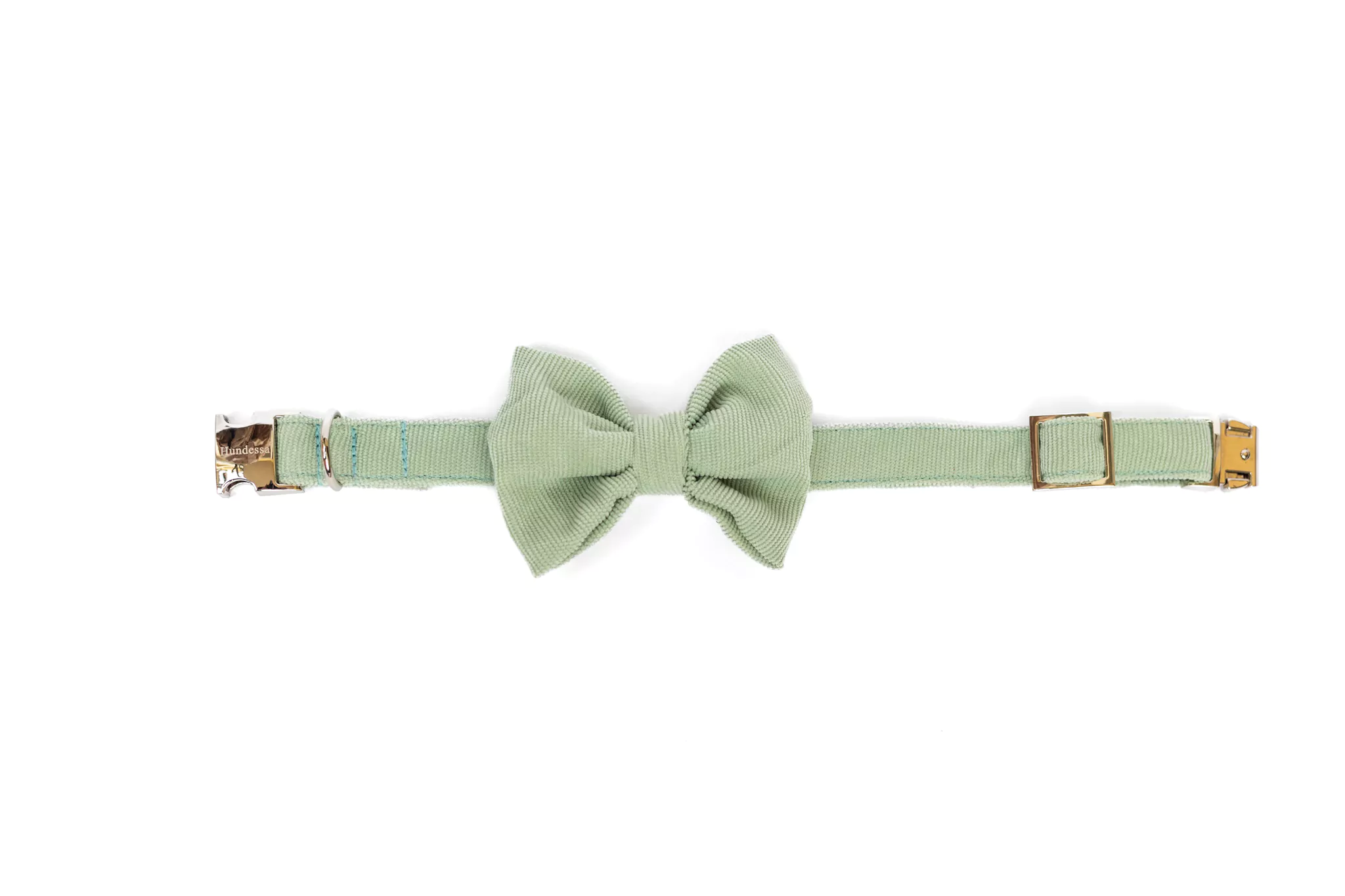 elbhunde dresden hundessa hundefliege lindgrün liegend