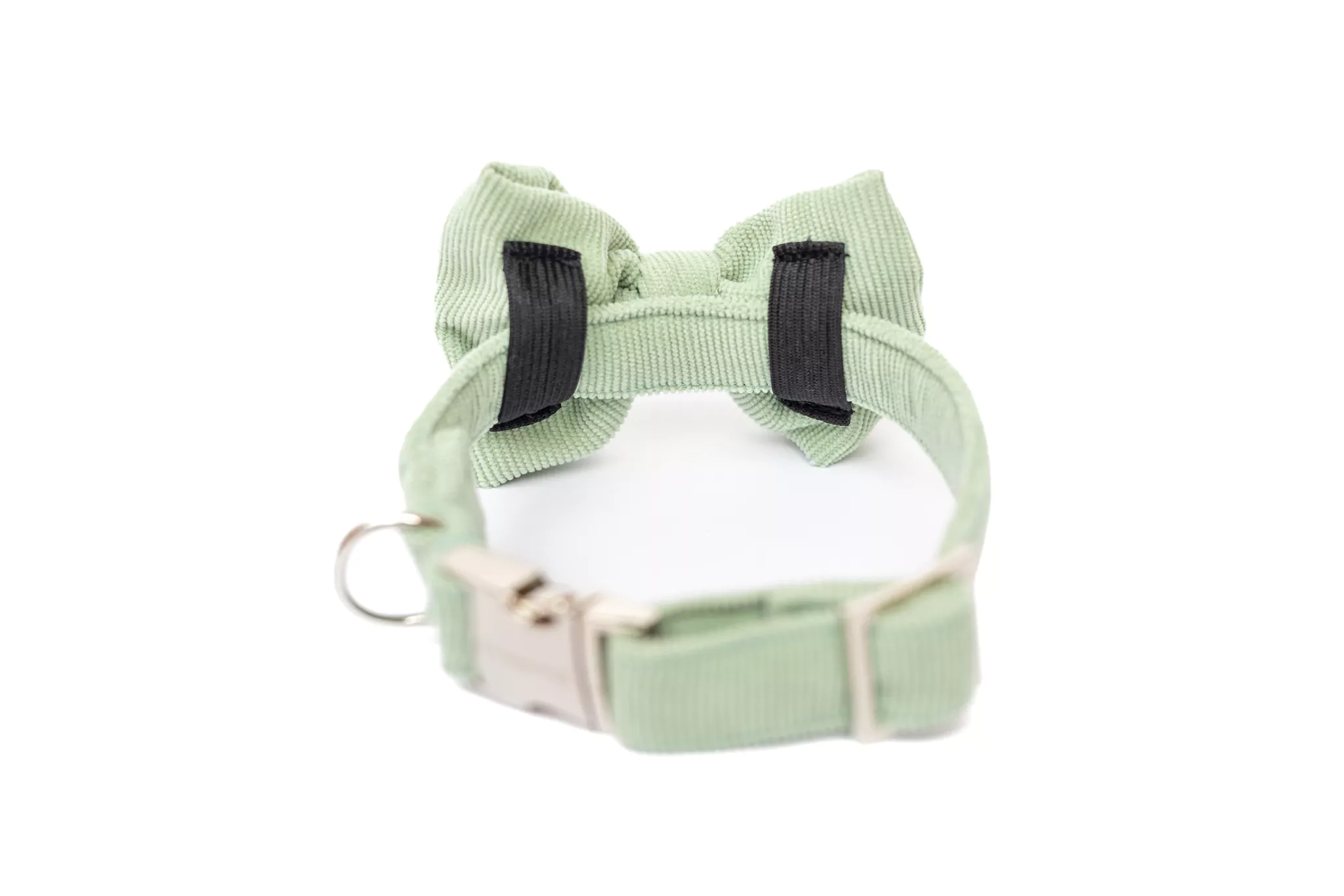 elbhunde dresden hundessa hundefliege lindgrün rückseite