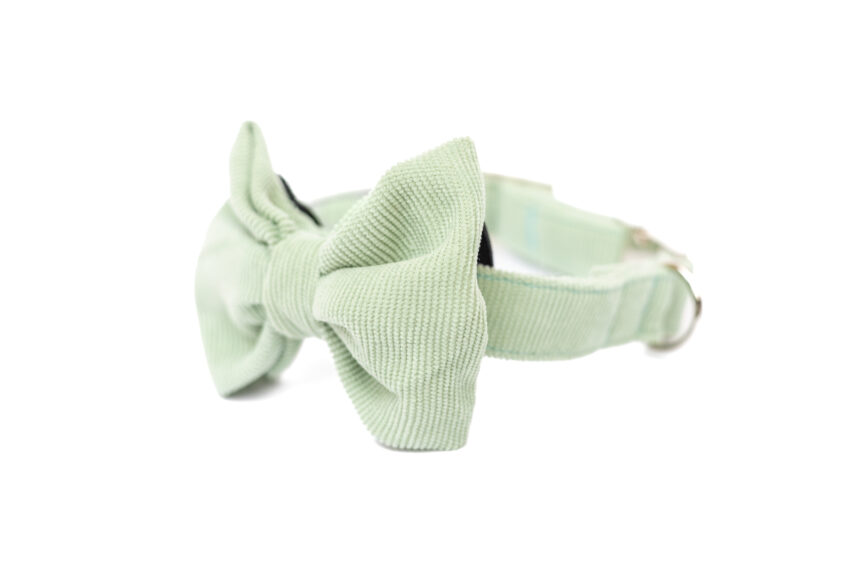 elbhunde dresden hundessa hundefliege lindgrün seitlich