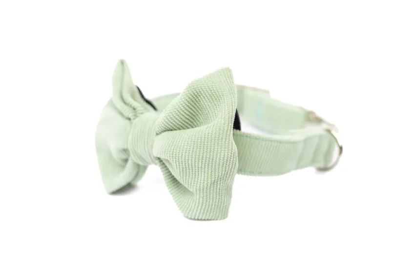 elbhunde dresden hundessa hundefliege lindgrün seitlich