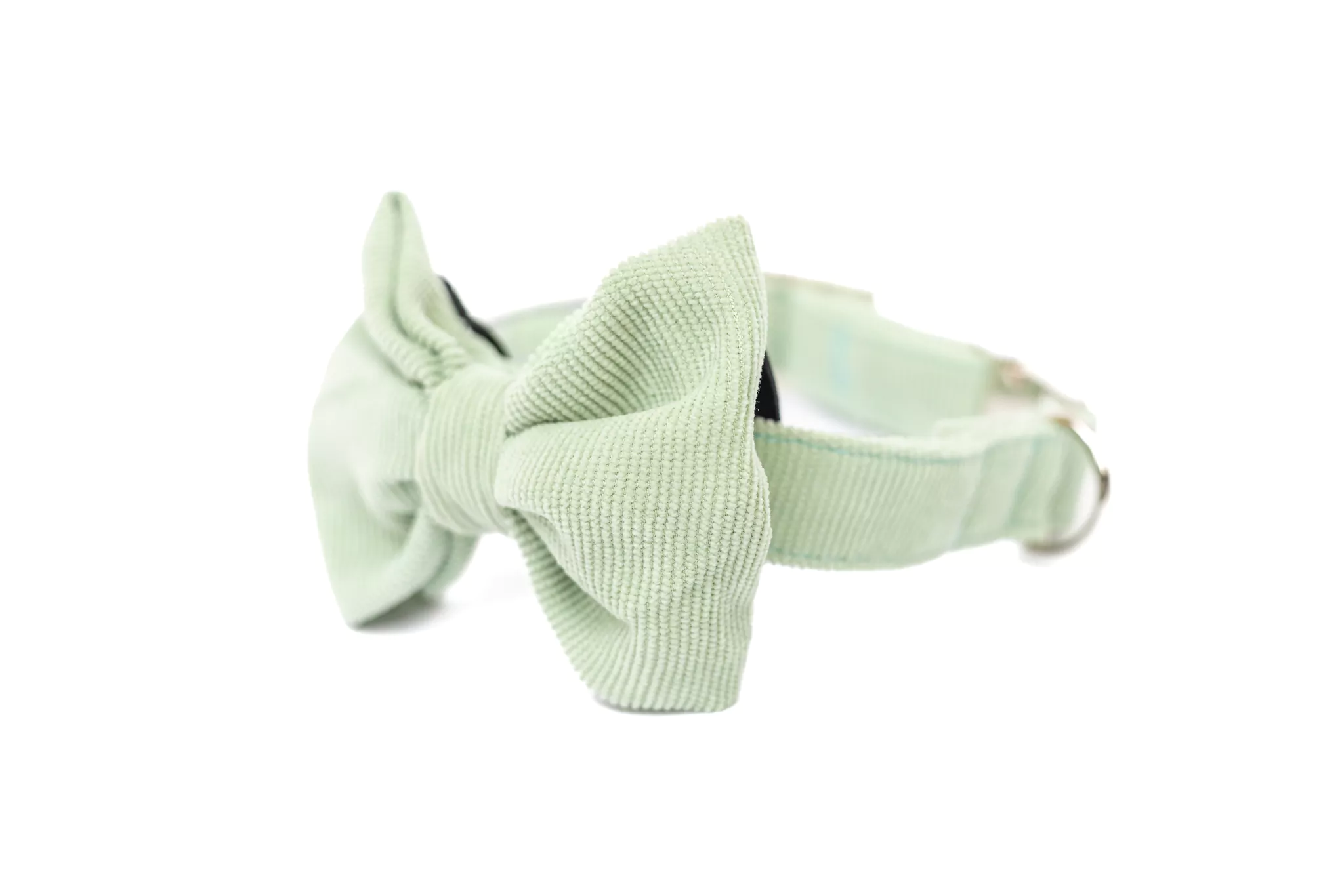 elbhunde dresden hundessa hundefliege lindgrün seitlich