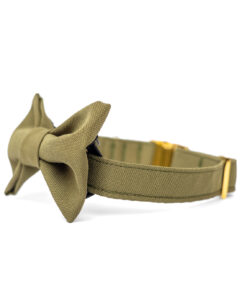 elbhunde dresden hundessa hundefliege olive detail