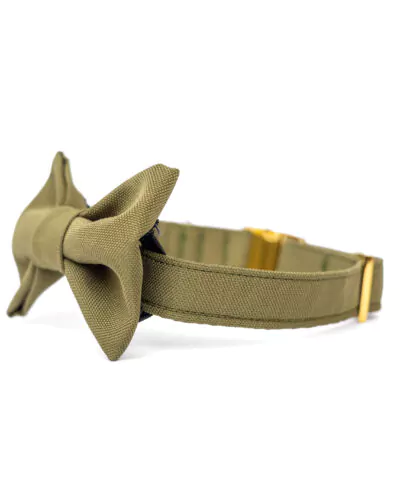 elbhunde dresden hundessa hundefliege olive detail