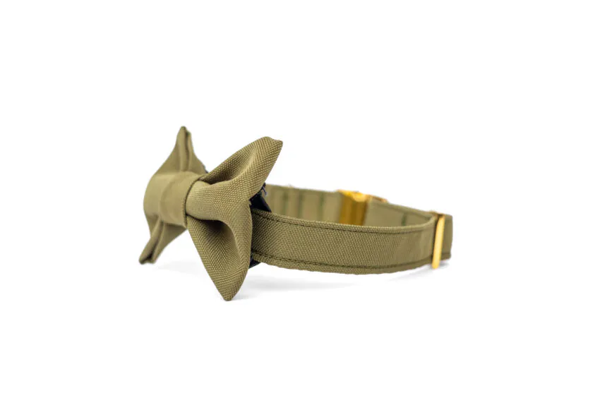 elbhunde dresden hundessa hundefliege olive detail