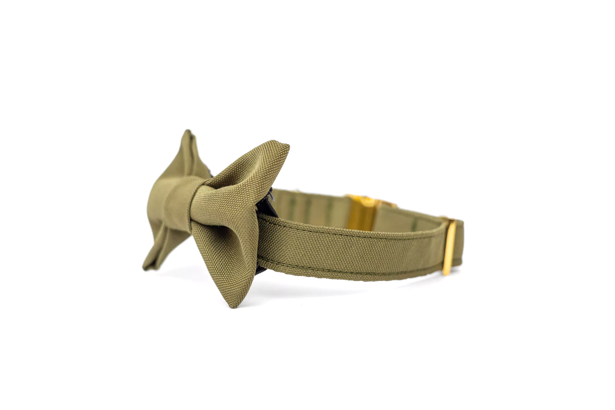 elbhunde dresden hundessa hundefliege olive detail