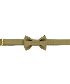 elbhunde dresden hundessa hundefliege olive liegend