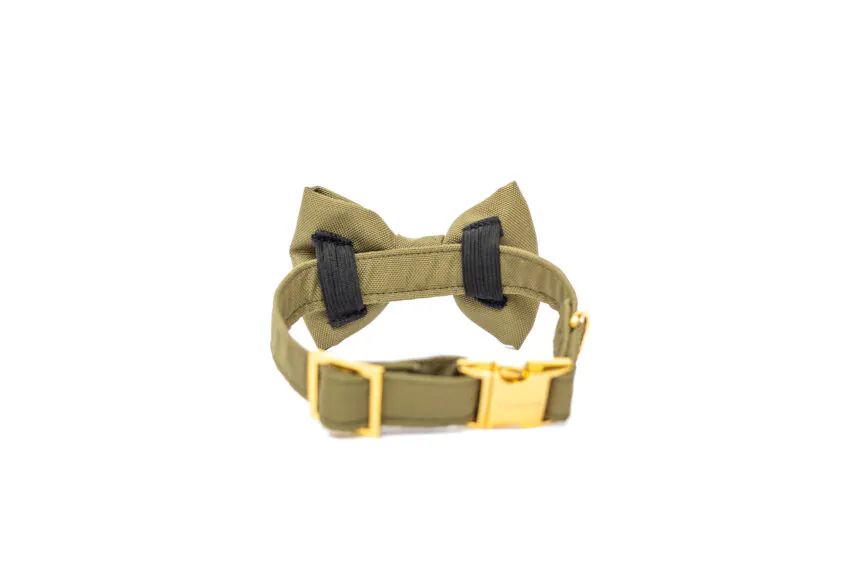 elbhunde dresden hundessa hundefliege olive rückseite