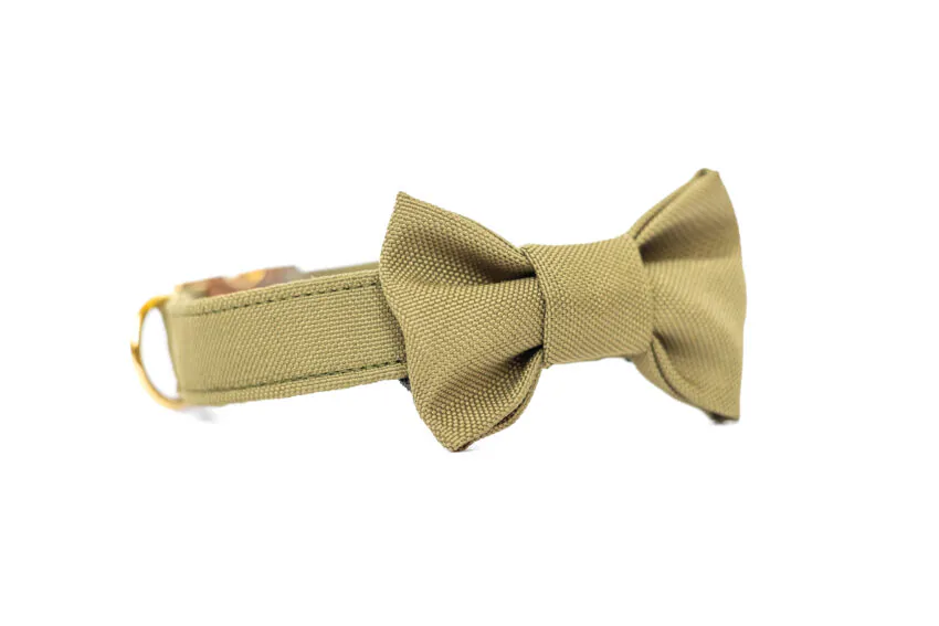 elbhunde dresden hundessa hundefliege olive seitlich