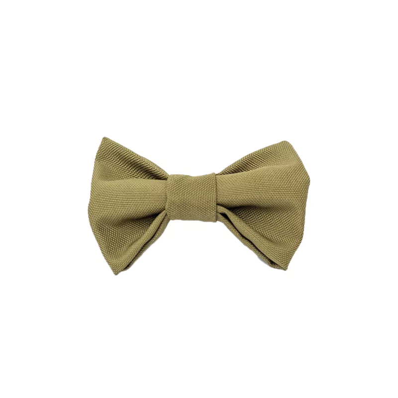 elbhunde dresden hundessa hundefliege olive