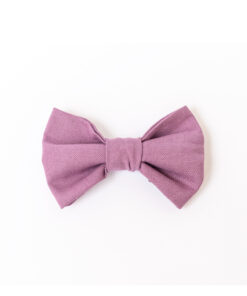 elbhunde dresden hundessa hundefliege orchidee