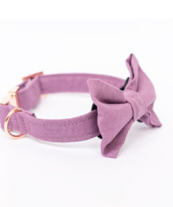 elbhunde dresden hundessa hundefliege orchidee detail