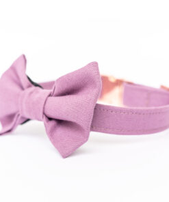 elbhunde dresden hundessa hundefliege orchidee seitlich