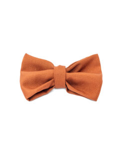 elbhunde dresden hundessa hundefliege rost