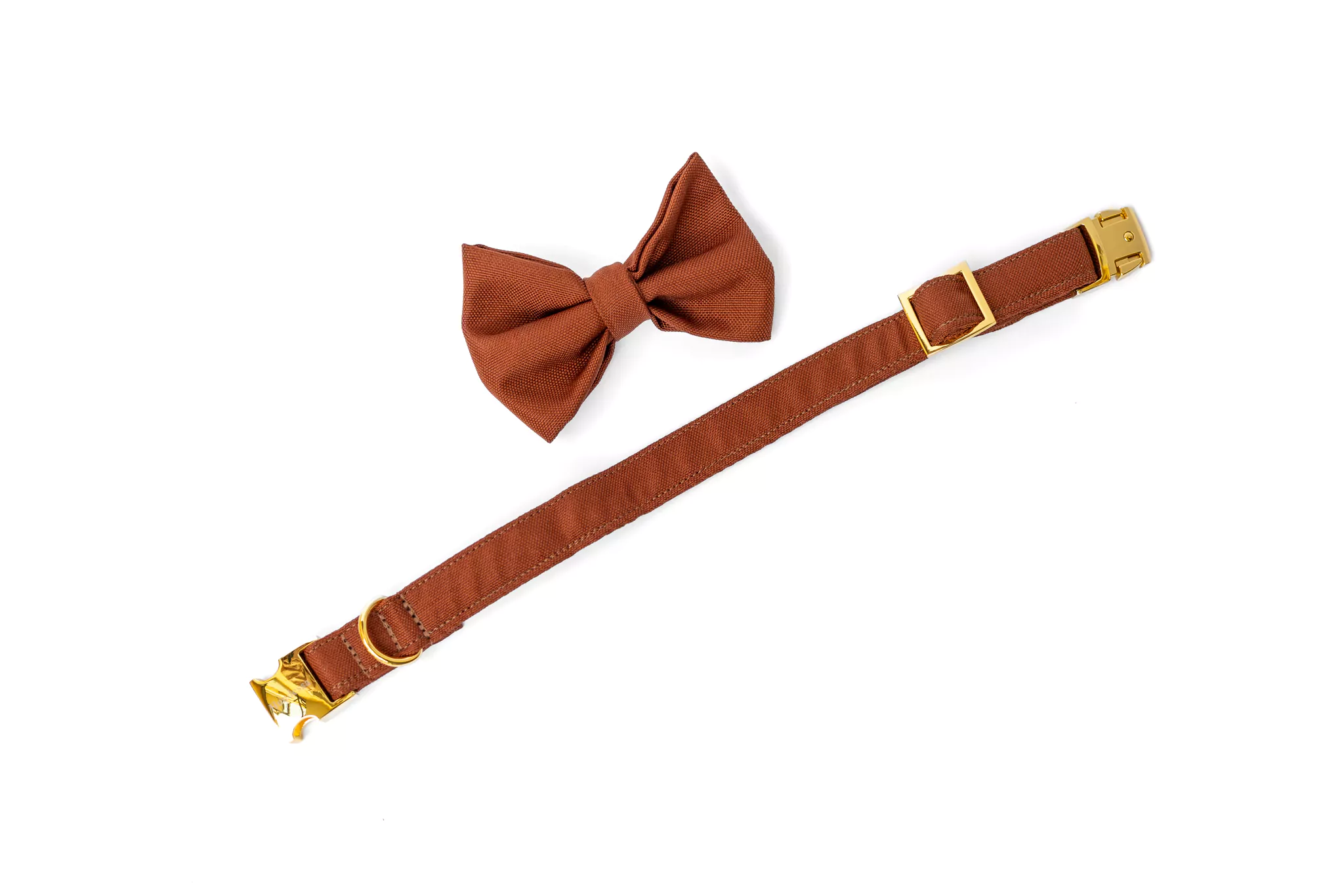 elbhunde dresden hundessa hundefliege rost liegend