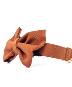 elbhunde dresden hundessa hundefliege rost seitlich