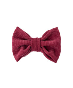 elbhunde dresden hundessa hundefliege rubin