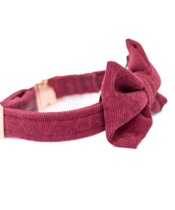 elbhunde dresden hundessa hundefliege rubin detail