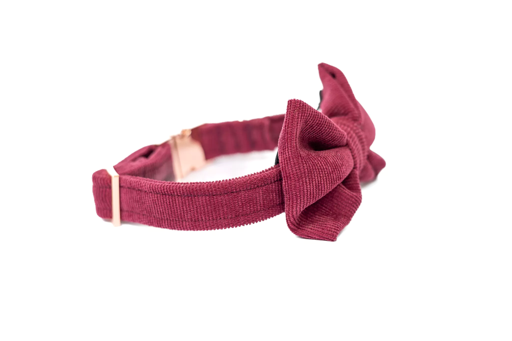 elbhunde dresden hundessa hundefliege rubin detail