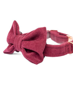 elbhunde dresden hundessa hundefliege rubin seitlich