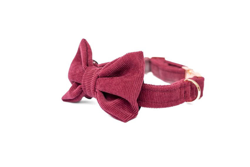 elbhunde dresden hundessa hundefliege rubin seitlich