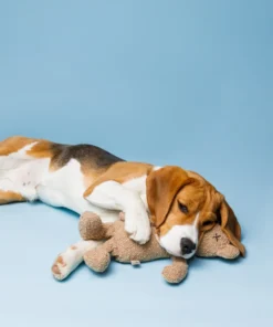 elbhunde dresden lillabel berty the bear kuschelmoment