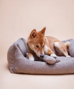 elbhunde dresden lillabel plüschspielzeug knochen hund