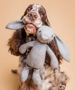 elbhunde dresden lillabel rupert the rabbit hund kuschelmoment