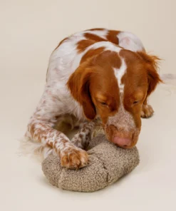 elbhunde dresden lillabel schnüffelspielzeug croissant aktion