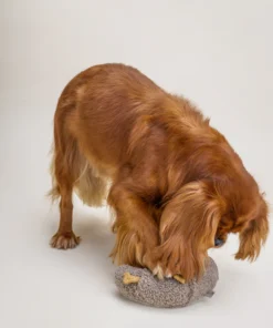 elbhunde dresden lillabel schnüffelspielzeug croissant schnüffelspaß