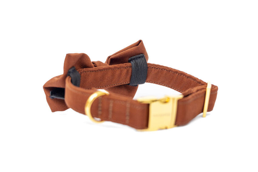 elbhunde hundessa stoff fliege mit halsband klickverschluss rost